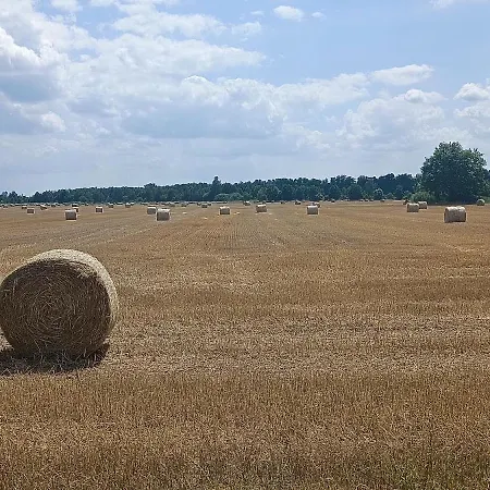 Spreewald Ferienwohnung Wollgast Lübben Zewnętrze zdjęcie